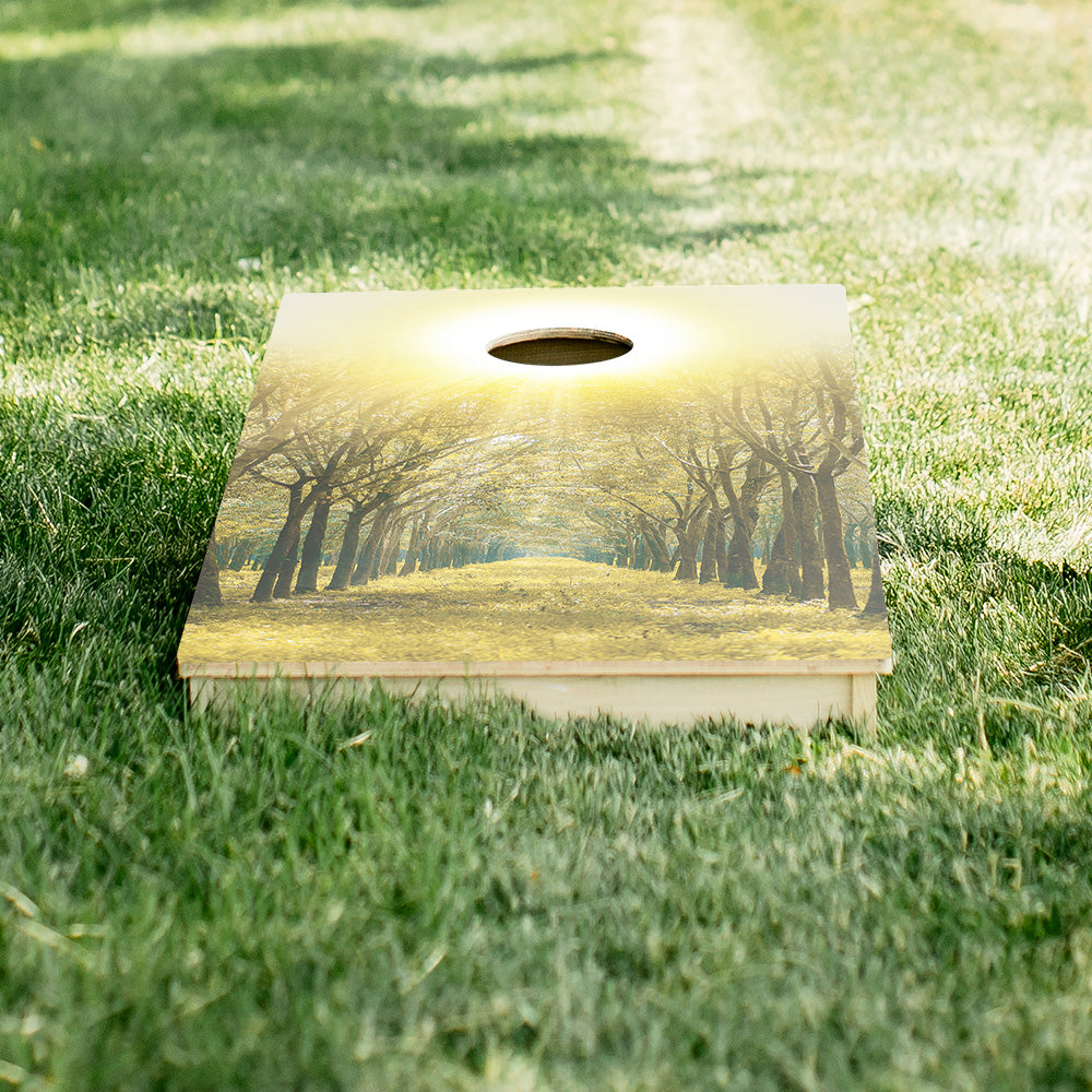 Forest Sunset Star Cornhole Boards