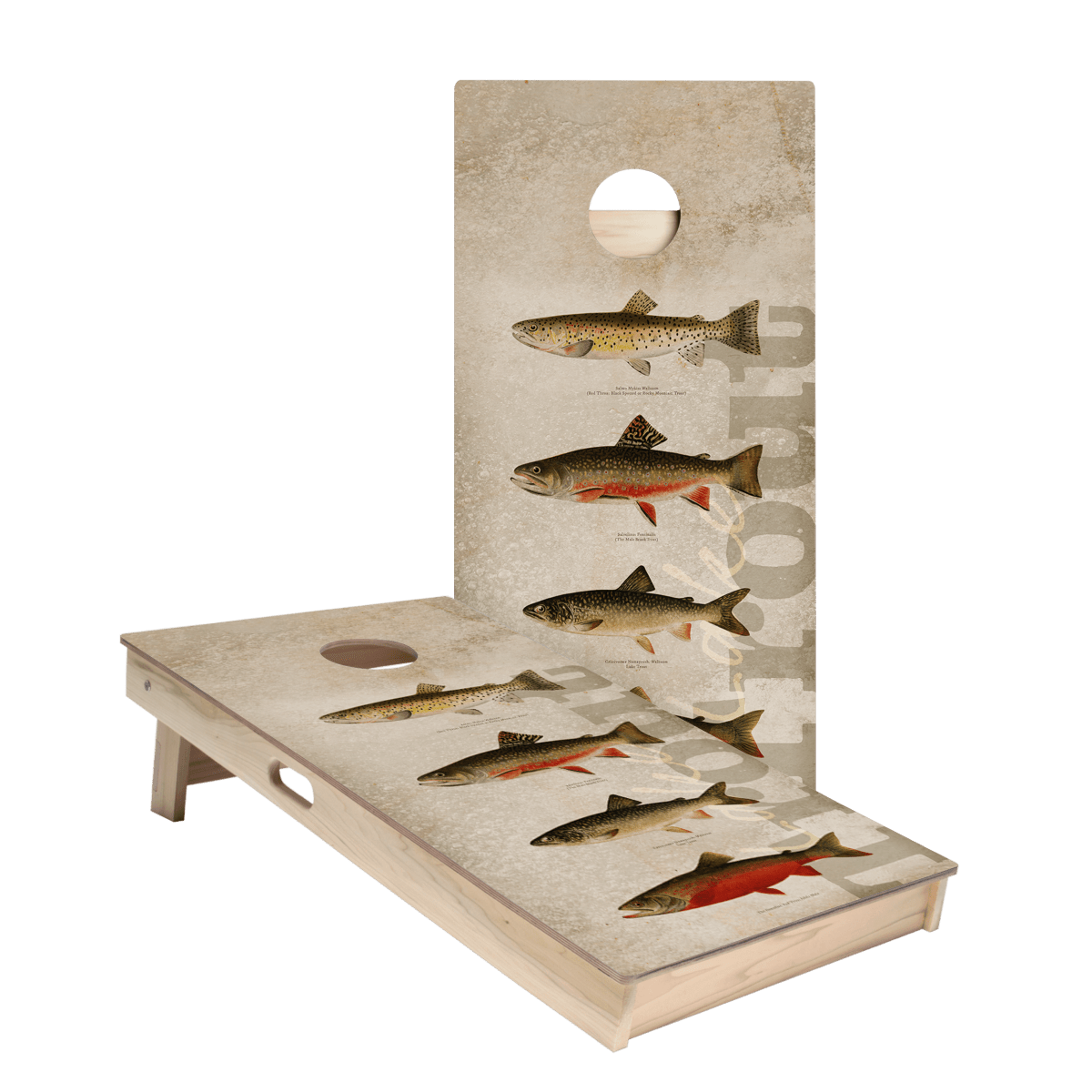Trout Star Cornhole Boards - ACA - 000165 | American Cornhole Association