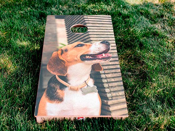 Custom Cornhole Boards