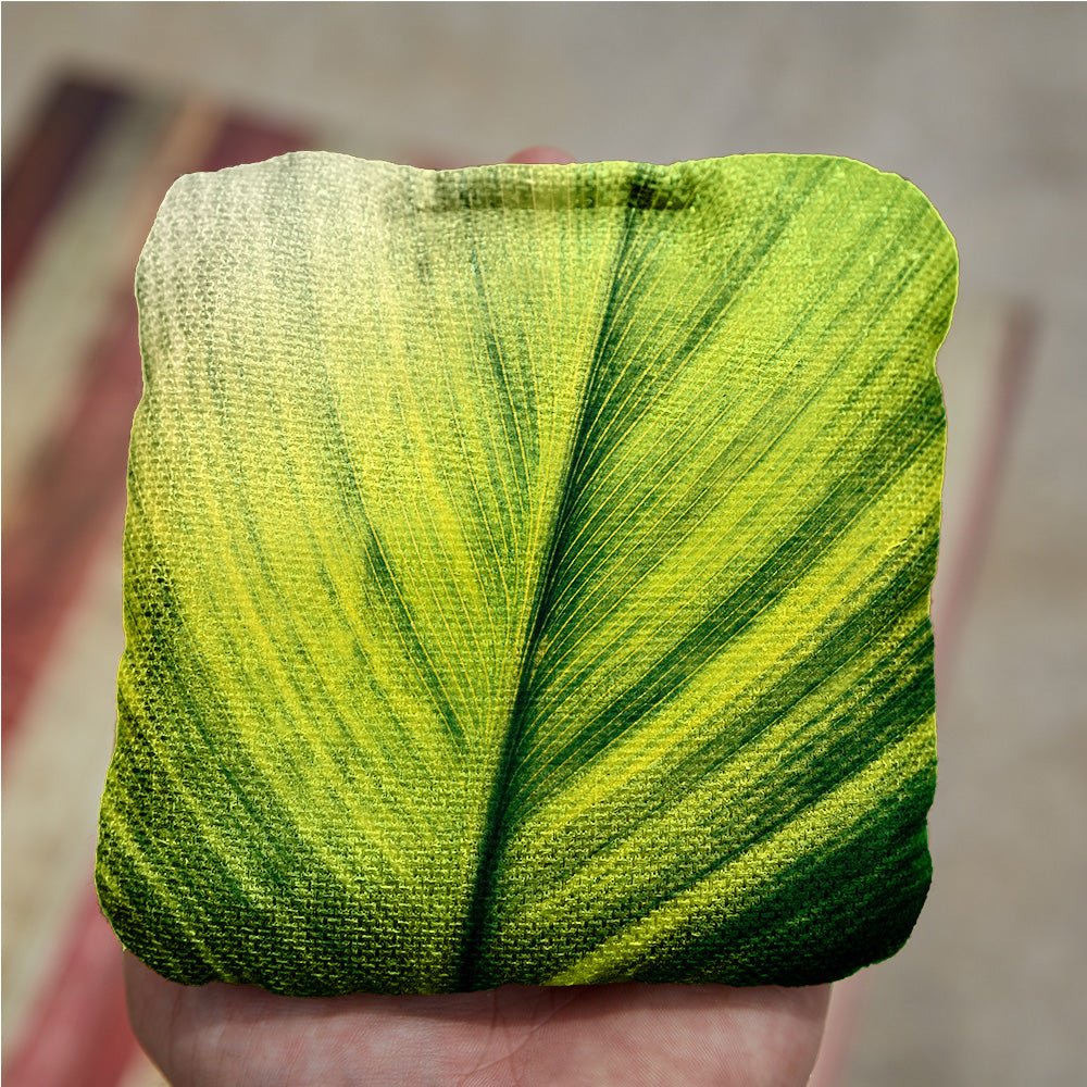 #color_green