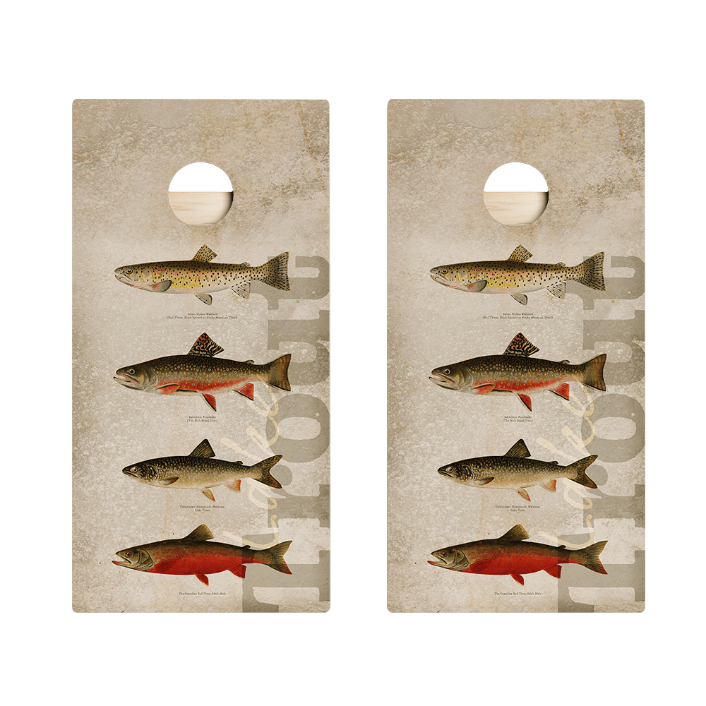 Trout Star Cornhole Boards - ACA - 000165 | American Cornhole Association