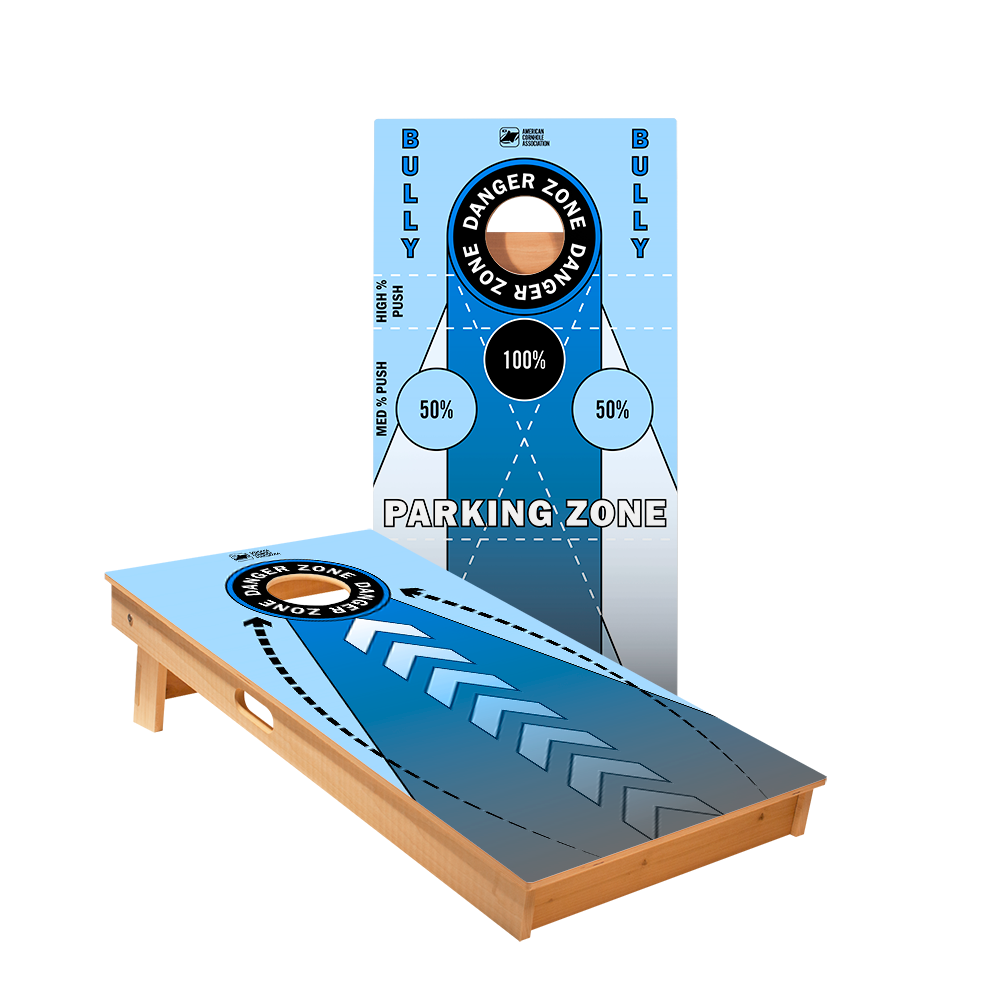 2x4 Blue Training Professional Regulation Cornhole Boards