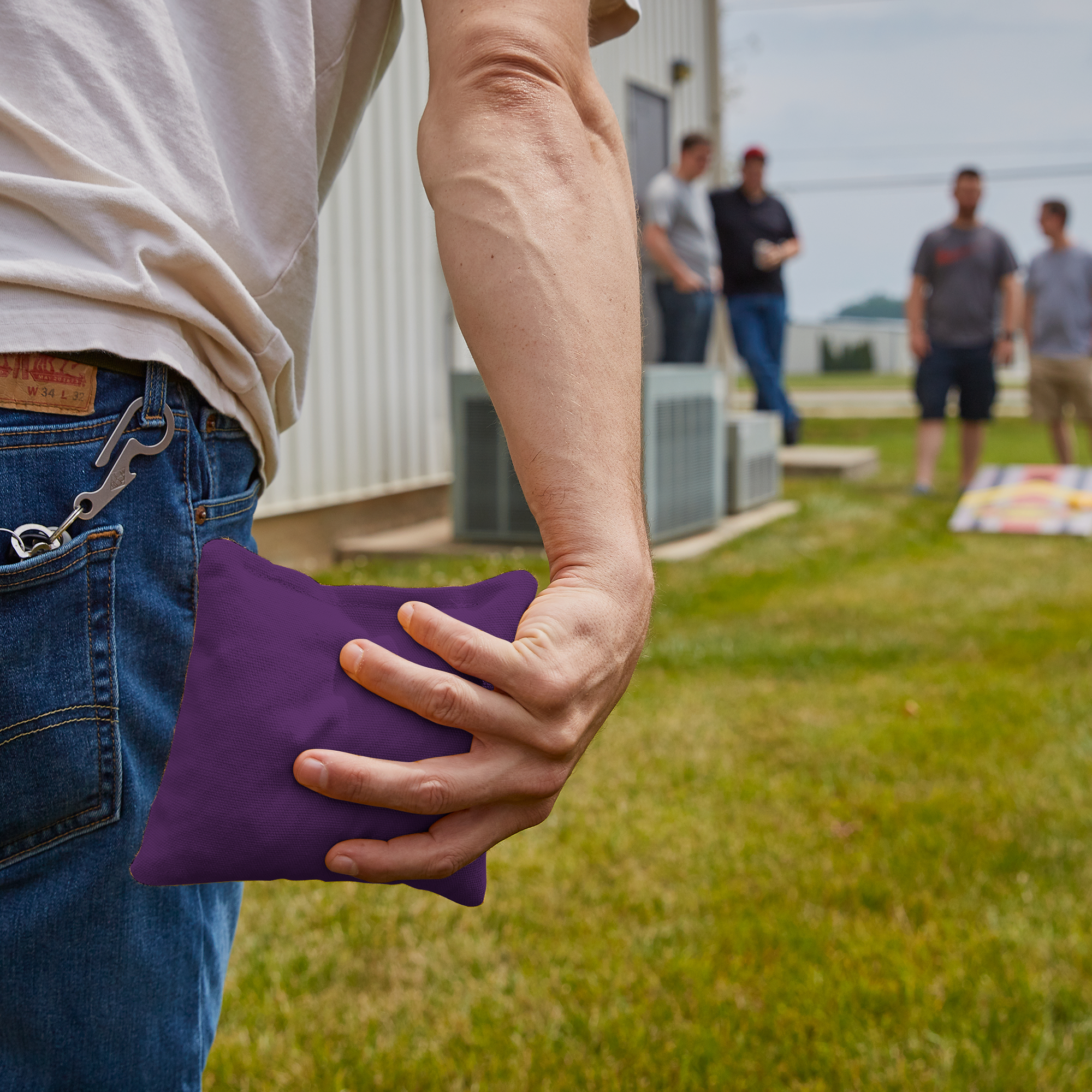 6-in Daily 66x Purple Competition Regulation Cornhole Bags